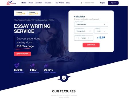 website thubmnail of Essay USA