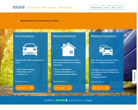 website thubmnail of Esure