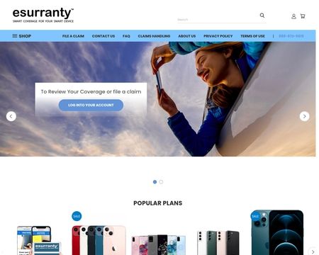 website thubmnail of eSurranty