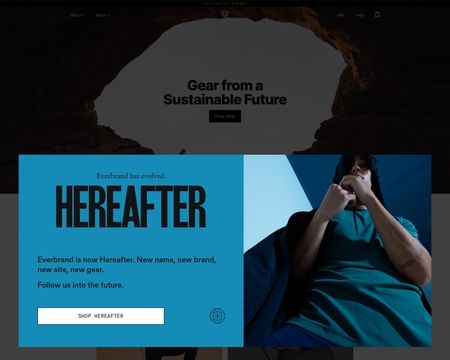 website thubmnail of Spider Tech
