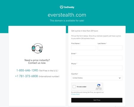 website thubmnail of EverStealth
