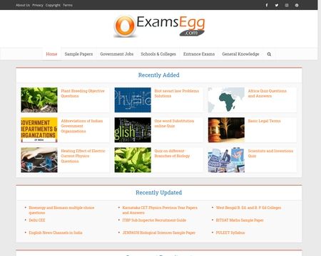 website thubmnail of Examsegg