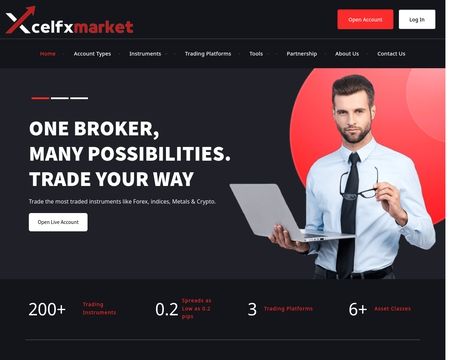 website thubmnail of Excelfxmarket
