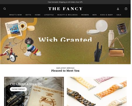 website thubmnail of Fancy
