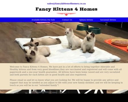 website thubmnail of Fancy Kittens 4 Homes