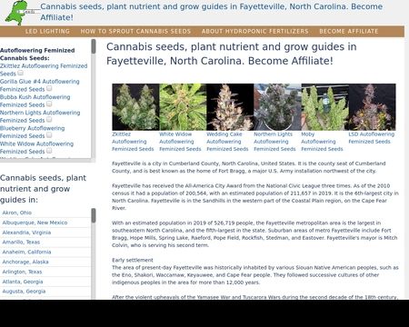 website thubmnail of Fayettevillecannabis.gq