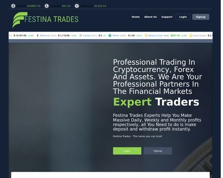 website thubmnail of Festinatrades