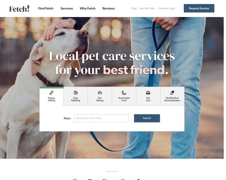 website thubmnail of Fetchpetcare