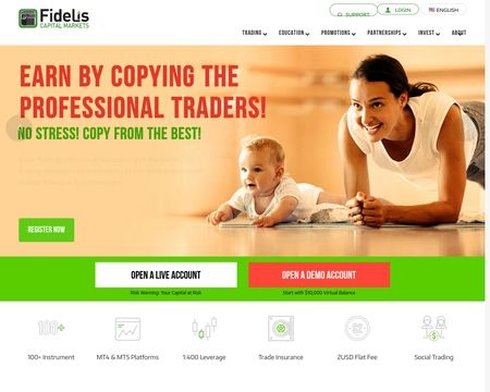 website thubmnail of Fideliscm
