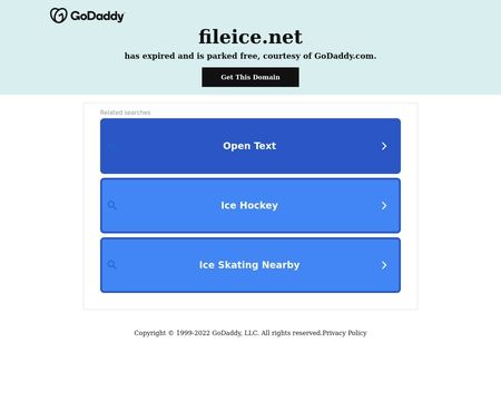 website thubmnail of FileIce