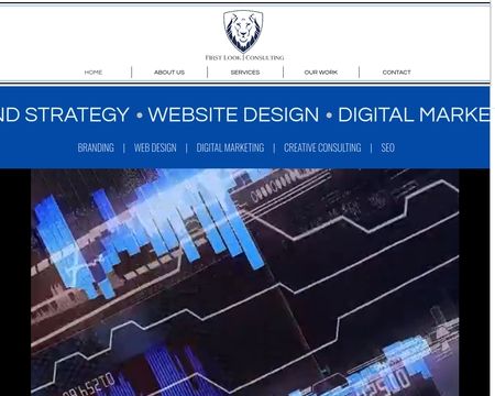 website thubmnail of Firstlook-consulting