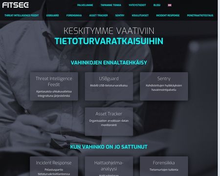 website thubmnail of Fitsec