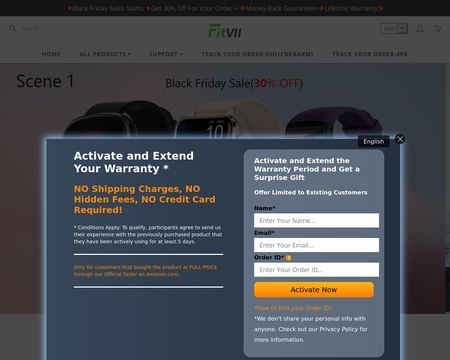 website thubmnail of Fitvii