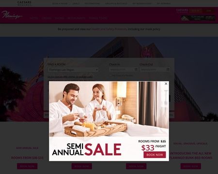 website thubmnail of Flamingolv