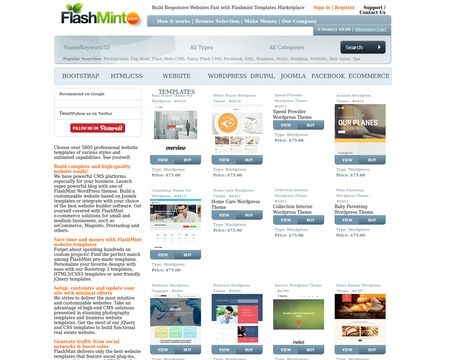 website thubmnail of FlashMint