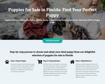 website thubmnail of Florida Puppies