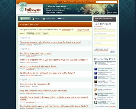 website thubmnail of Fluther