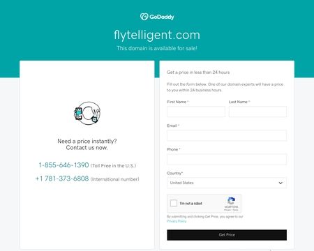 website thubmnail of Flytelligent
