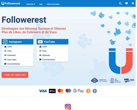 website thubmnail of Followerest
