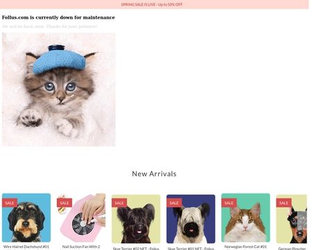 website thubmnail of Follus