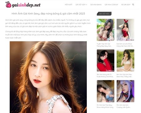 website thubmnail of Gaixinhdep.net