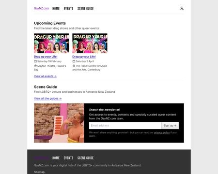 website thubmnail of Gaynz