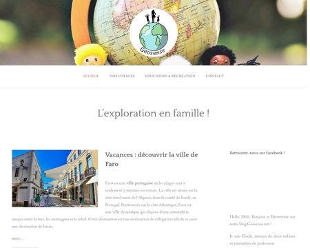 website thubmnail of GeoSense