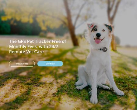 website thubmnail of Findster