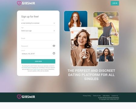 website thubmnail of GibsMir