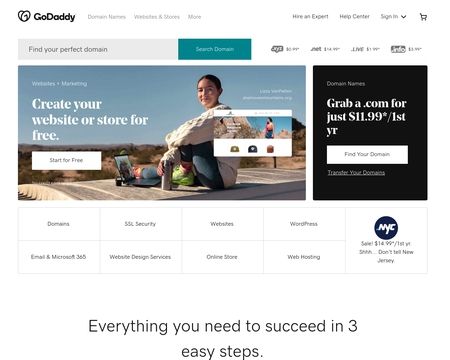 website thubmnail of Godady