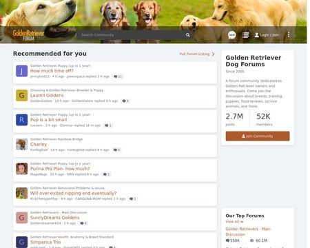 website thubmnail of Golden Retriever Forum