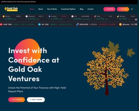 website thubmnail of Goldoakventures.life
