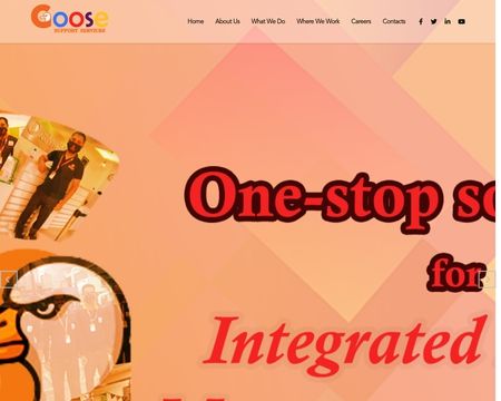 website thubmnail of Goosesupport