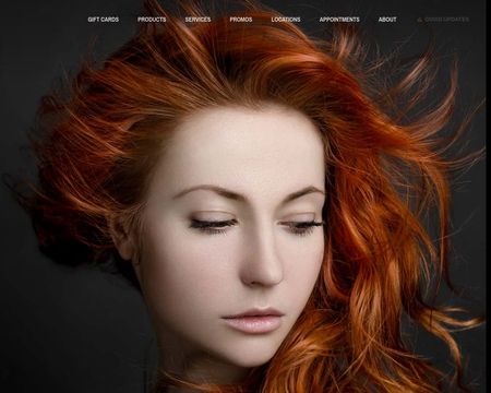 website thubmnail of Gould's Salon Spas
