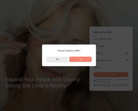 website thubmnail of Grannies Tomeet