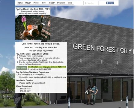 website thubmnail of Greenforestar.net