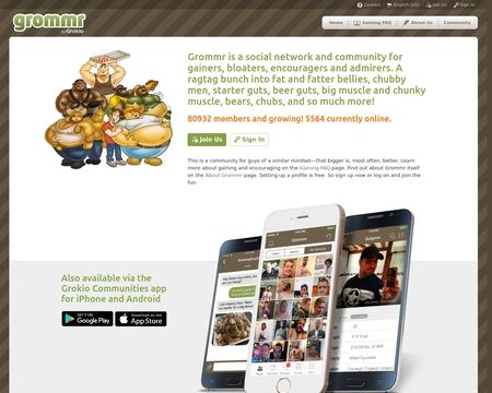 website thubmnail of Grommr