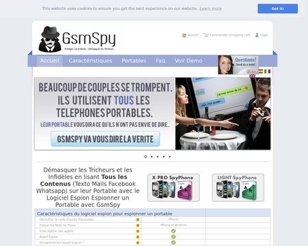website thubmnail of GsmSpy