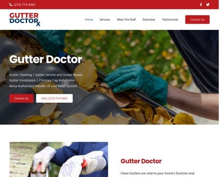 website thubmnail of Gutterdoctorservices
