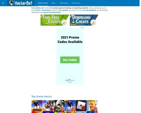 website thubmnail of HackerBot