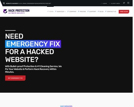 website thubmnail of Hackprotection.net