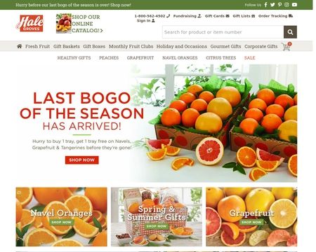 website thubmnail of Hale Grooves