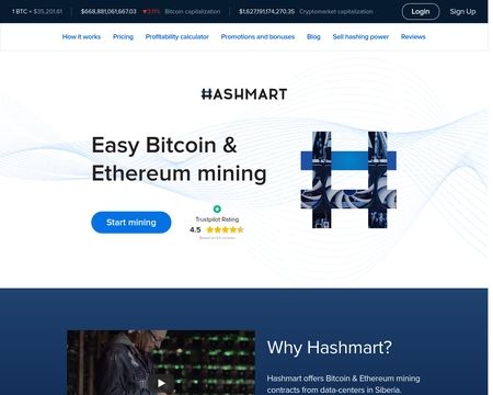 website thubmnail of Hashmart