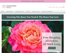 Thumbnail of Heirloom Roses