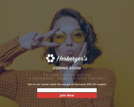 website thubmnail of Herberger's