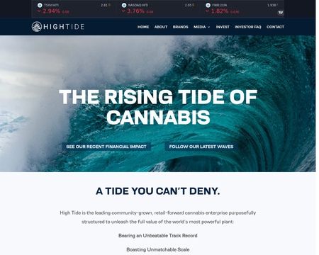 website thubmnail of Hightideinc