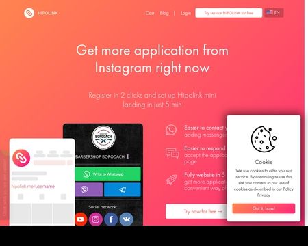 website thubmnail of Hipolink.me