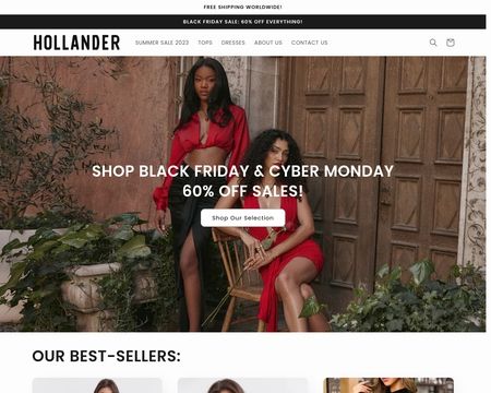 website thubmnail of Hollanderandco