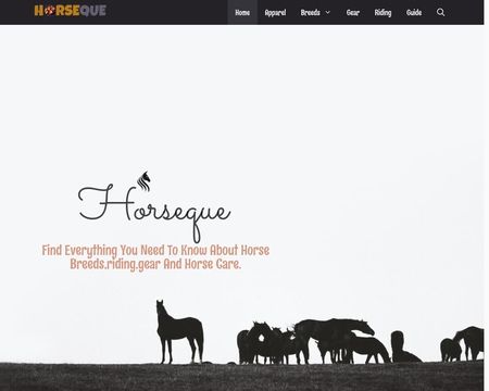 website thubmnail of Horseque
