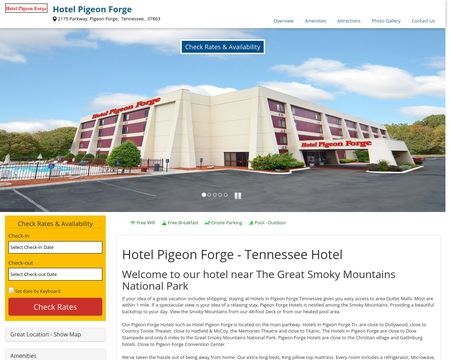 website thubmnail of Hotelpigeonforgetennessee
